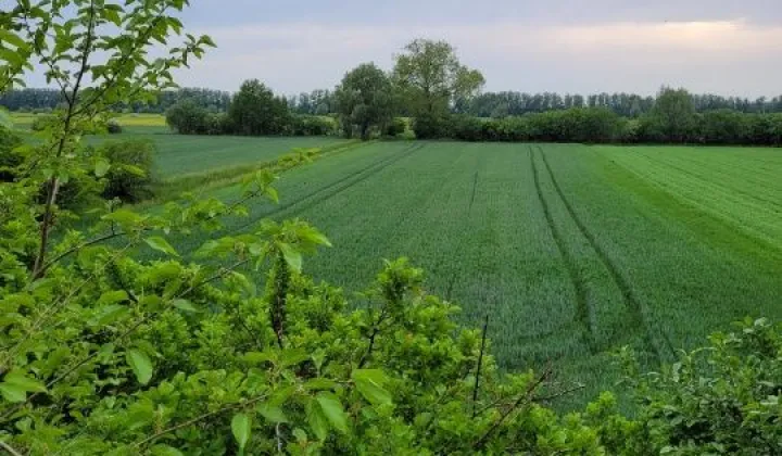 Działka siedliskowa Gdańsk Świbno