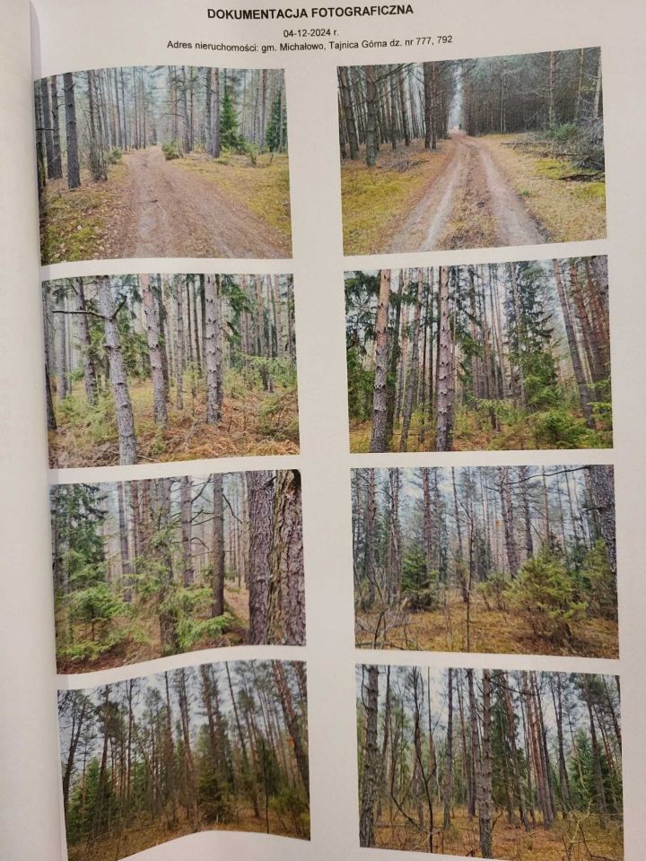 Działka leśna Tanica Górna. Zdjęcie 3