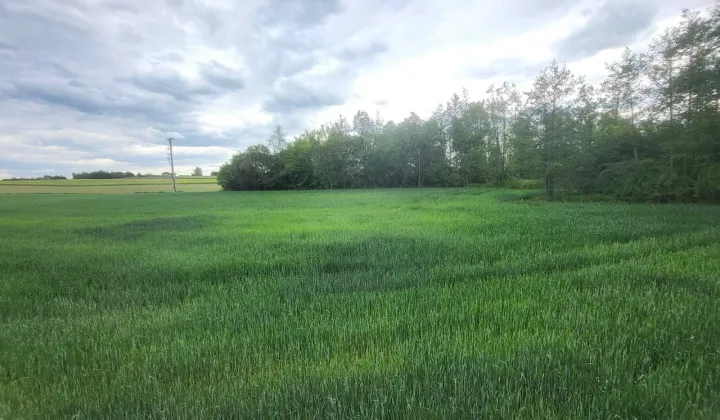 Działka siedliskowa Maszki