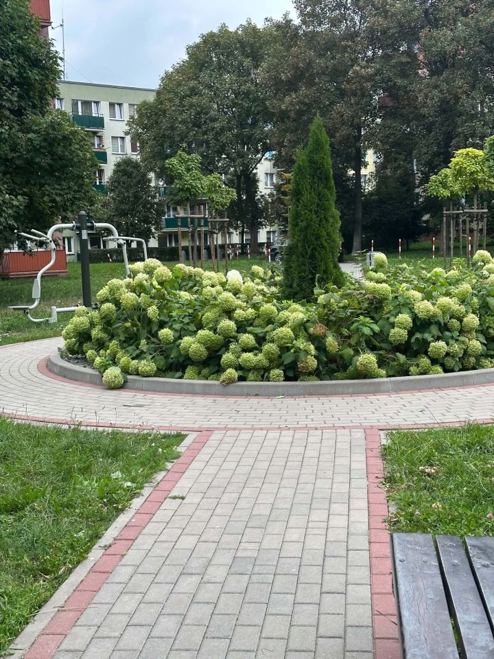 Mieszkanie 2-pokojowe Płock Kostrogaj, ul. Narodowych Sił Zbrojnych. Zdjęcie 7