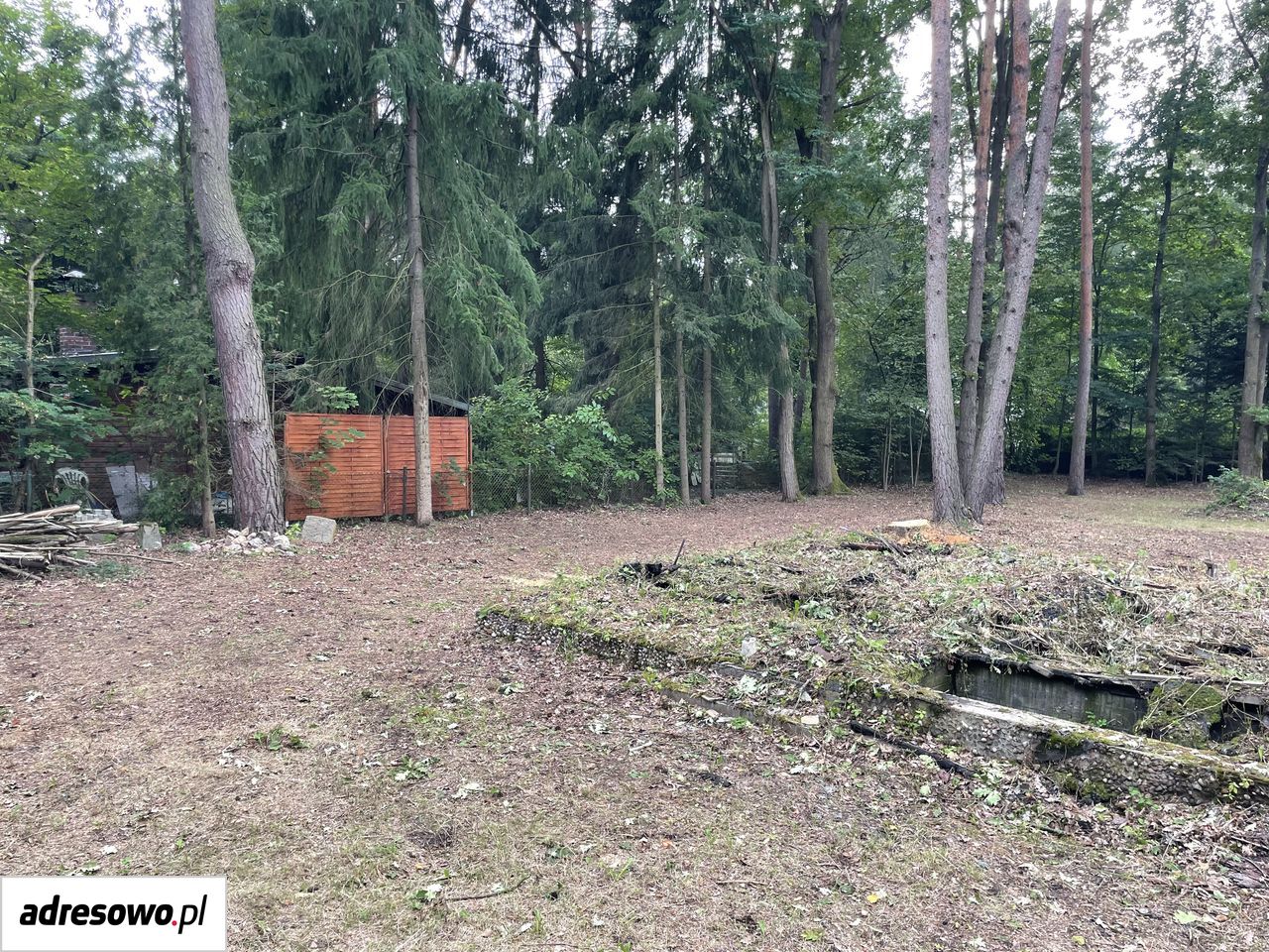 Działka rekreacyjna Popowo-Parcele, ul. Dębowa. Zdjęcie 13