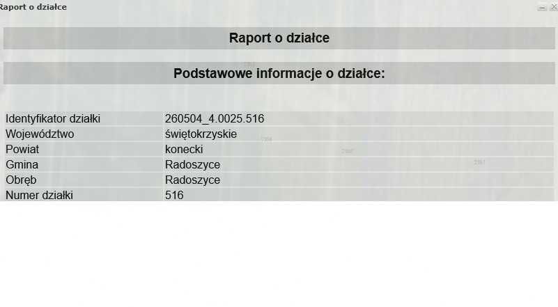 Działka inwestycyjna Radoszyce. Zdjęcie 2