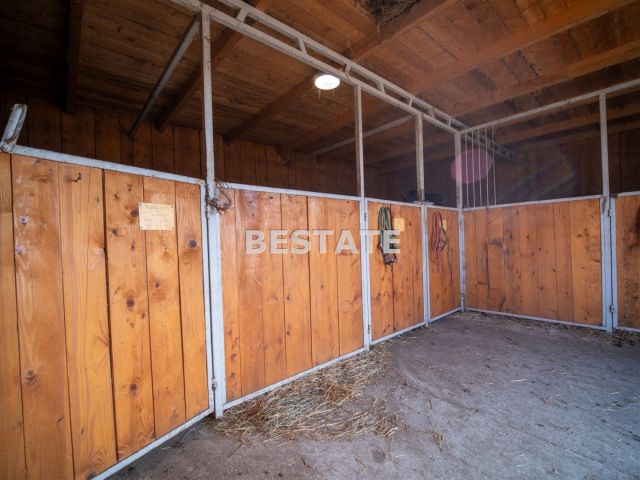 Działka rolno-budowlana Rzuchowa. Zdjęcie 11