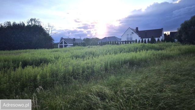 Działka budowlana Złotoria. Zdjęcie 1