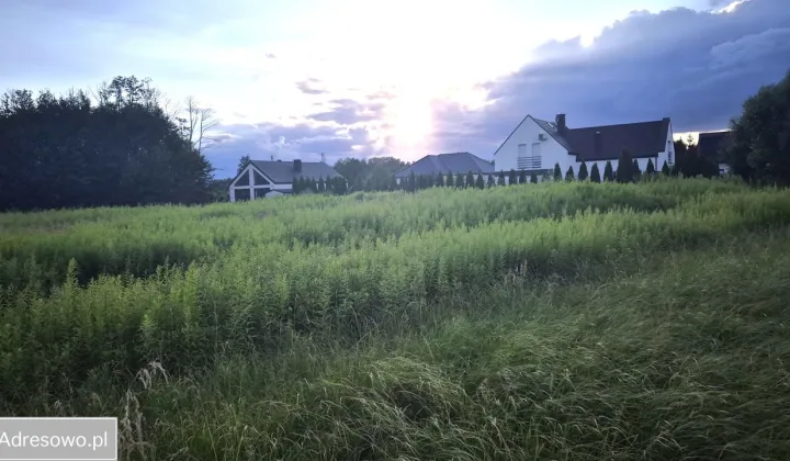 Działka budowlana Złotoria