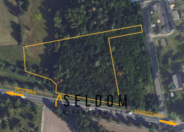 Działka inwestycyjna Cienin Zaborny. Zdjęcie 2