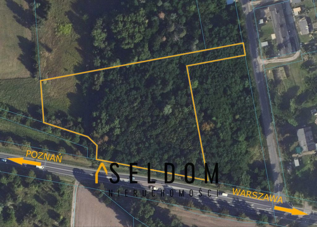 Działka inwestycyjna Cienin Zaborny. Zdjęcie 2