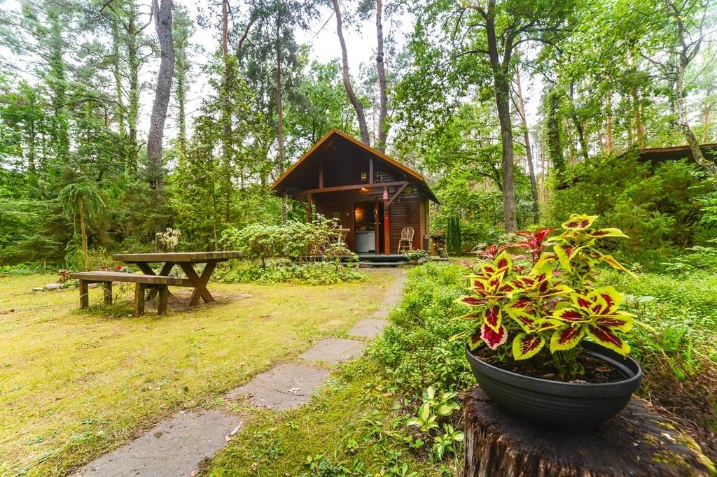 dom wolnostojący, 6 pokoi Poddębie, ul. Sosnowa. Zdjęcie 24