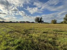 Działka budowlana Krzeszyce