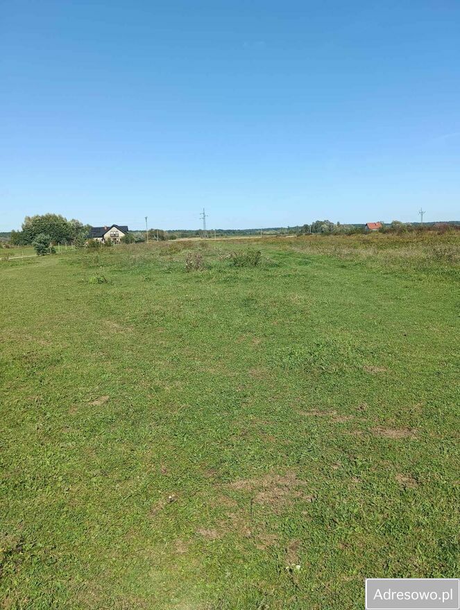 Działka siedliskowa Osiek. Zdjęcie 10