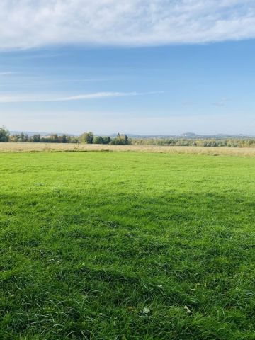 Działka rolno-budowlana Rębiszów. Zdjęcie 1