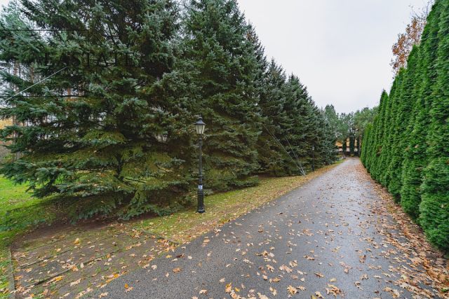 Działka budowlana Wiktorów, ul. Leśna. Zdjęcie 4