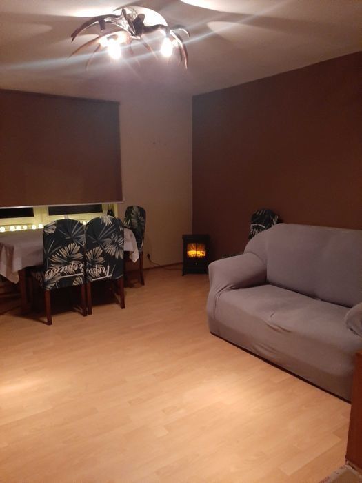 Mieszkanie 1-pokojowe Dworczysko. Zdjęcie 8