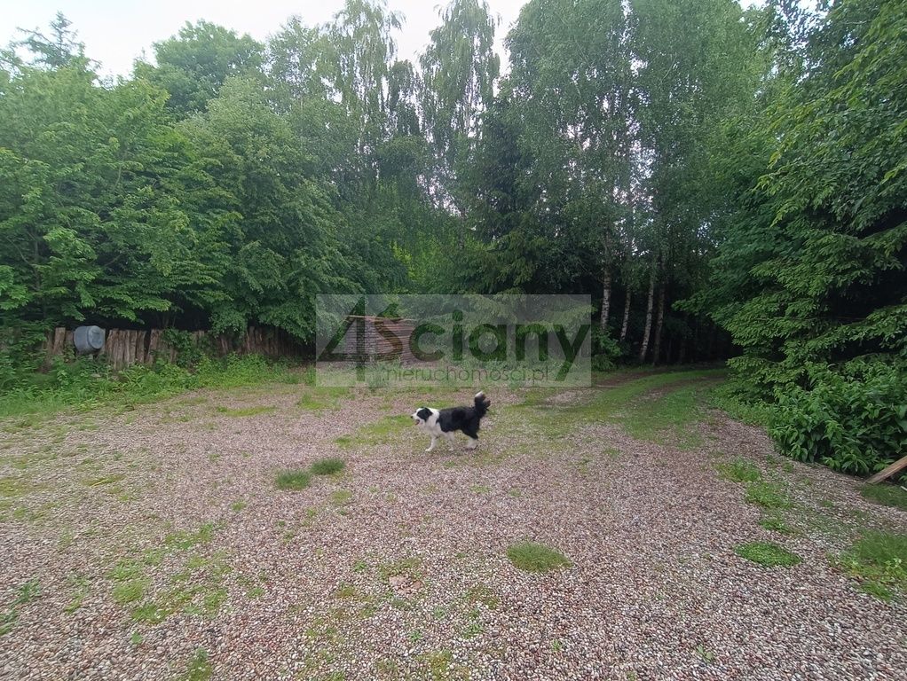 Hotel/pensjonat Praslity. Zdjęcie 20