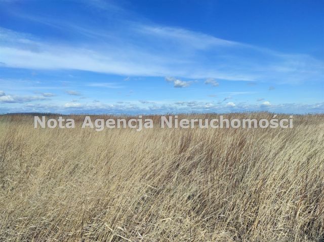 Działka inwestycyjna Świebodzice Ciernie, ul. Przemysłowa. Zdjęcie 9