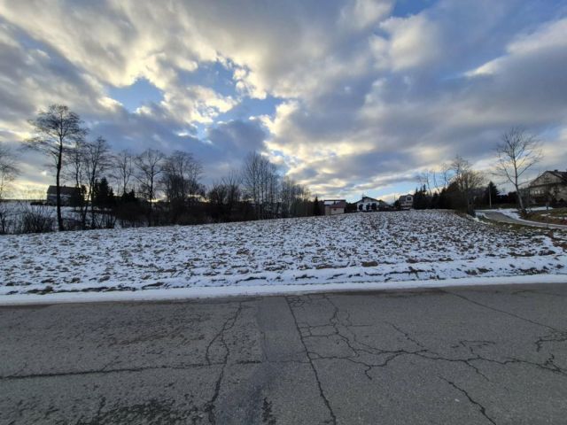 Działka rolno-budowlana Wola Lubecka. Zdjęcie 1