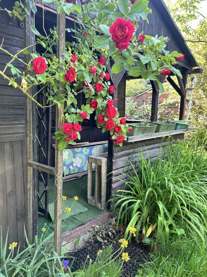 Działka rod Warszawa Targówek, ul. Głębocka. Zdjęcie 4