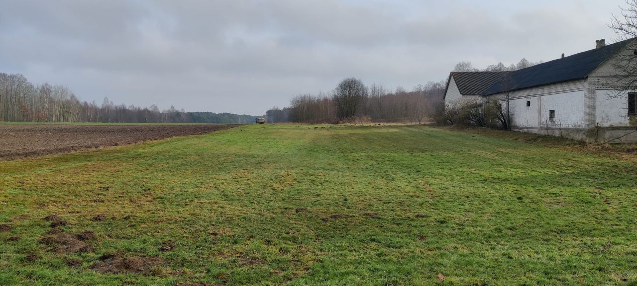 Działka siedliskowa Kapice. Zdjęcie 3
