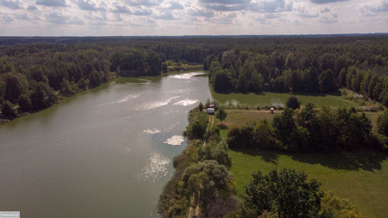 Działka rolno-budowlana Nowa Wieś. Zdjęcie 4