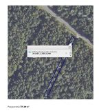 Działka leśna Kurozwęki. Zdjęcie 1