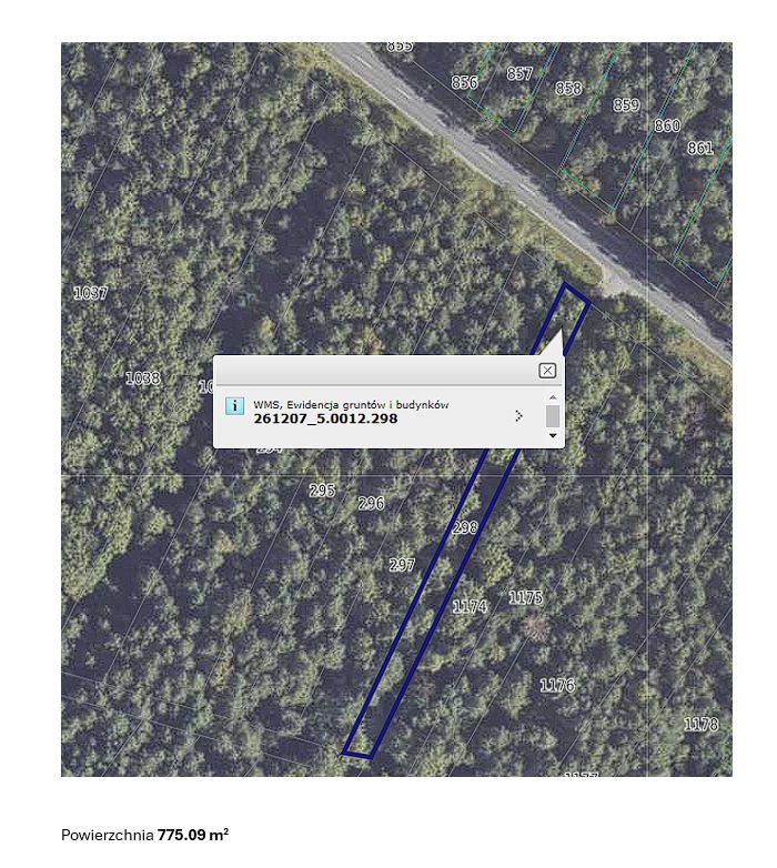 Działka leśna Kurozwęki. Zdjęcie 2