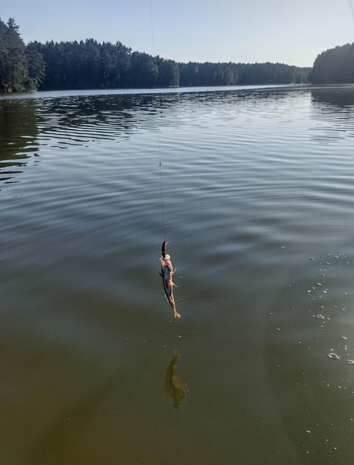 Mieszkanie 2-pokojowe Mostowo. Zdjęcie 22