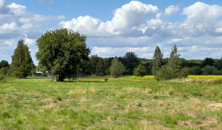Działka Kaczków, ul. Leśna