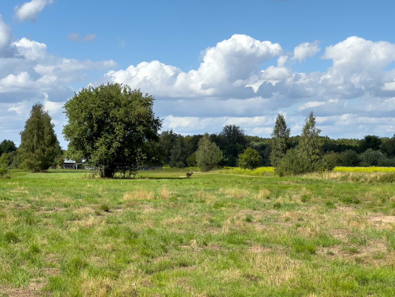 Działka Kaczków, ul. Leśna