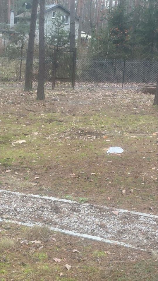 Działka leśna Poddębie, ul. Wesoła. Zdjęcie 5