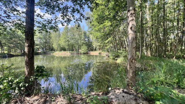 Działka rekreacyjna Osieczna. Zdjęcie 22