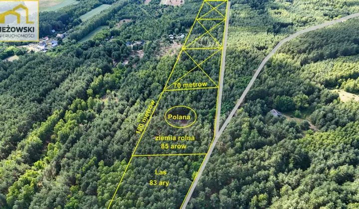 Działka rolna Nowosiółki