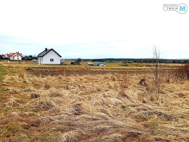 Działka inwestycyjna Wilków. Zdjęcie 4