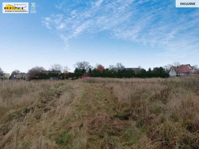 Działka inwestycyjna Wąwelnica. Zdjęcie 5