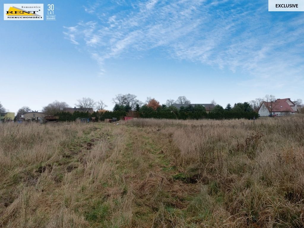 Działka inwestycyjna Wąwelnica. Zdjęcie 5