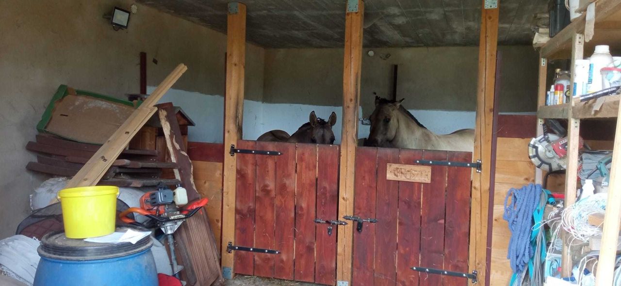 gospodarstwo Nowe Karmonki. Zdjęcie 5