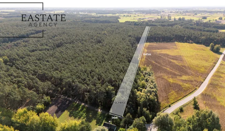 Działka leśna Maurzyce