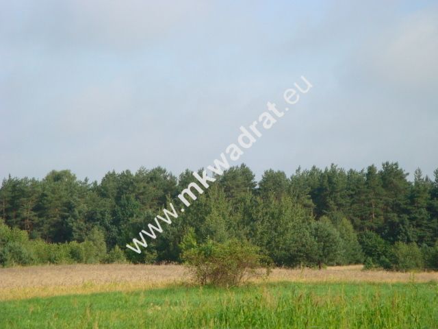 Działka budowlana Czosnów. Zdjęcie 2