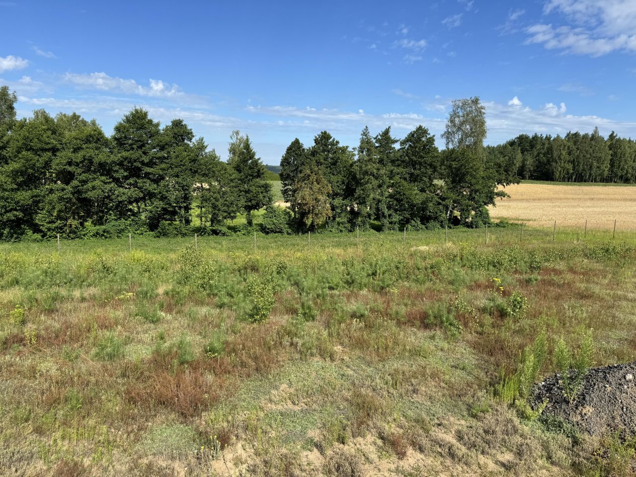 Działka rolno-budowlana Sulnówko, Sulnowko 18. Zdjęcie 8