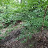 Działka leśna Bielsko-Biała Mikuszowice Krakowskie, ul. Krowoderska. Zdjęcie 1