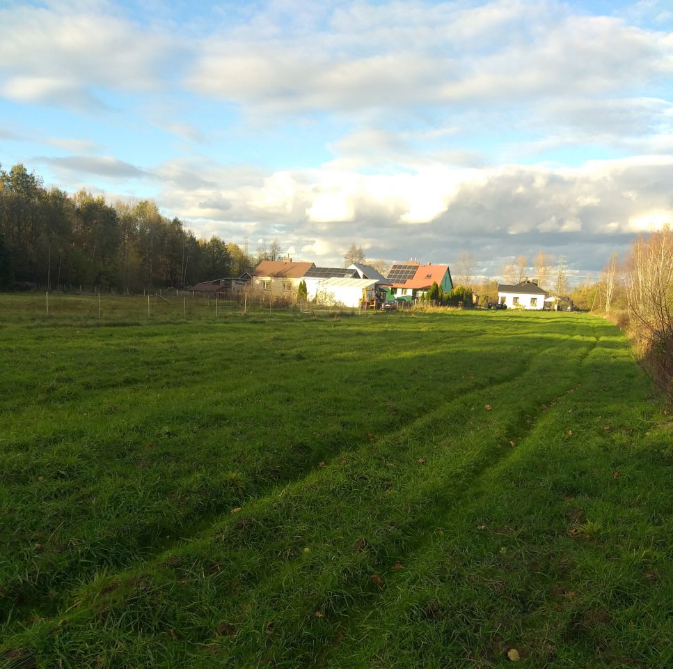 Działka rolno-budowlana Podborze Podlesie