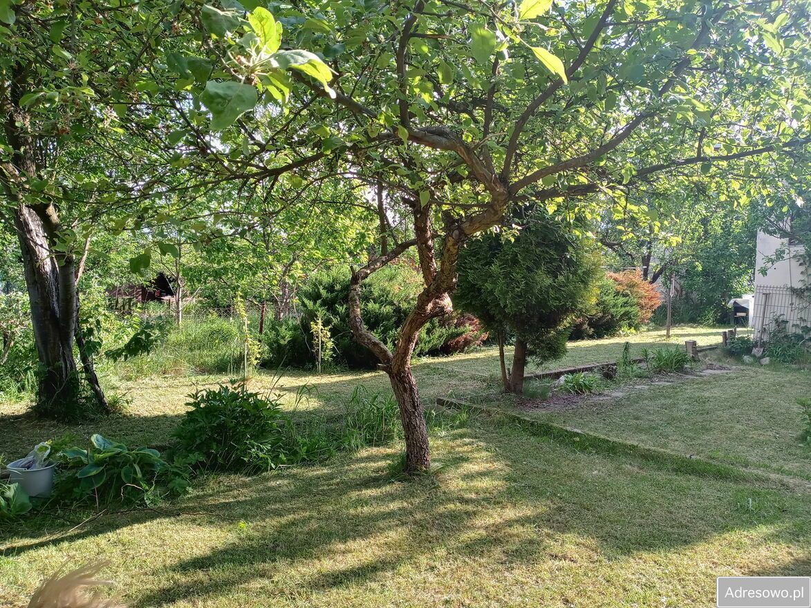 Działka rod Czeladź. Zdjęcie 2