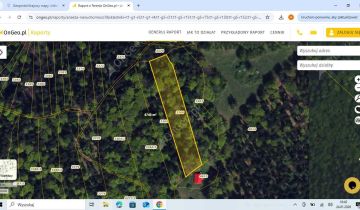 Działka leśna Świnna