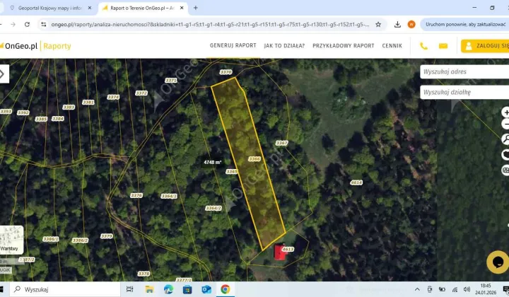 Działka leśna Świnna