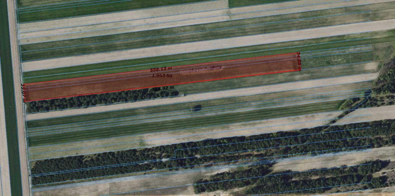 Działka rolna Łazy-Dąbrowa. Zdjęcie 1