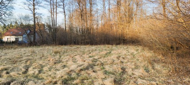 Działka rolno-budowlana Rydzyny, ul. Dolna. Zdjęcie 2