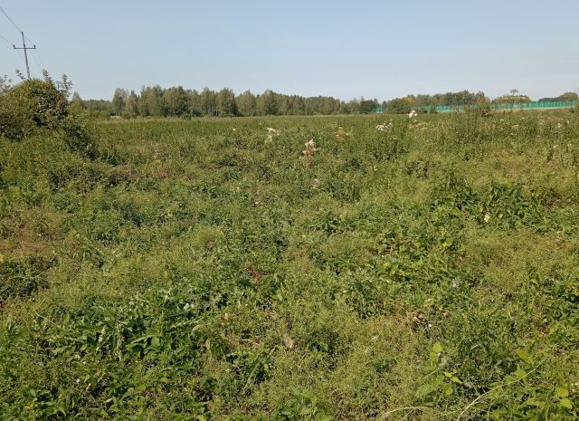 Działka rolna Lewki. Zdjęcie 1