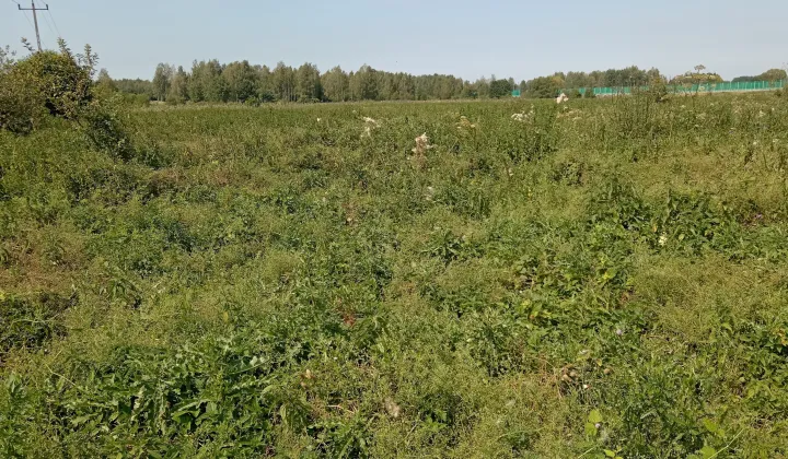 Działka rolna Lewki