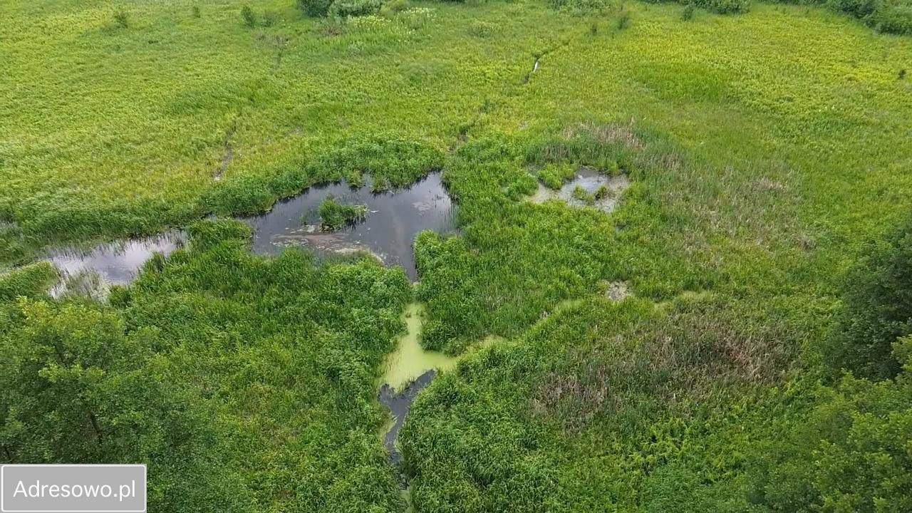Działka Michałowo. Zdjęcie 5