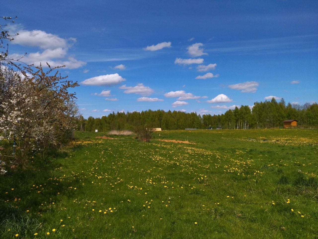 Działka rekreacyjna Raj. Zdjęcie 2