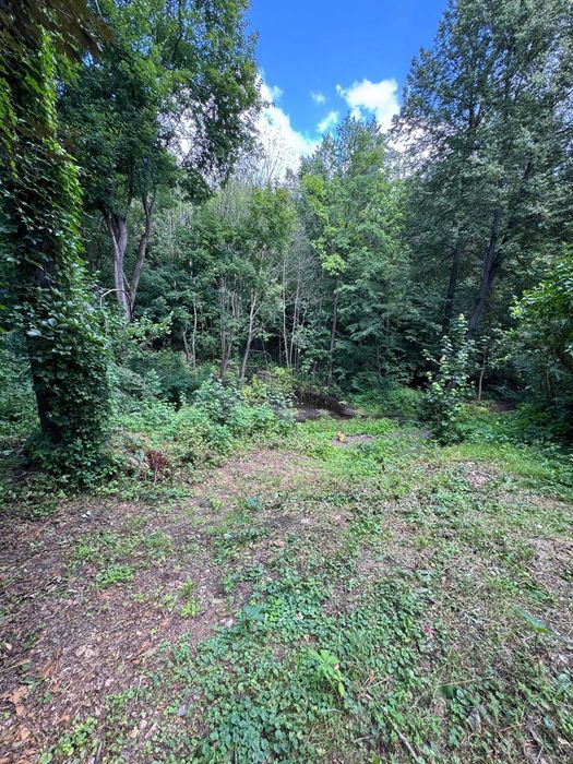 dom wolnostojący Dąbrowa Górnicza Okradzionów, ul. Białej Przemszy. Zdjęcie 3